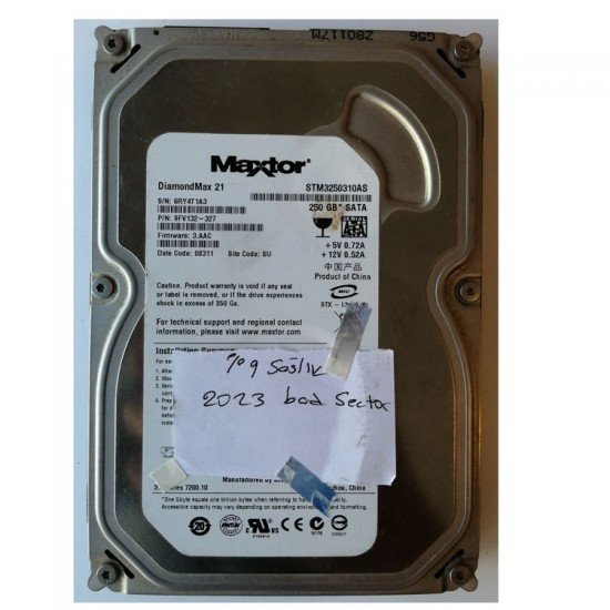 ARIZALI MAXTOR 250GB Harddisk