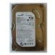 ARIZALI SEAGATE ST3160813AS 160GB Harddisk